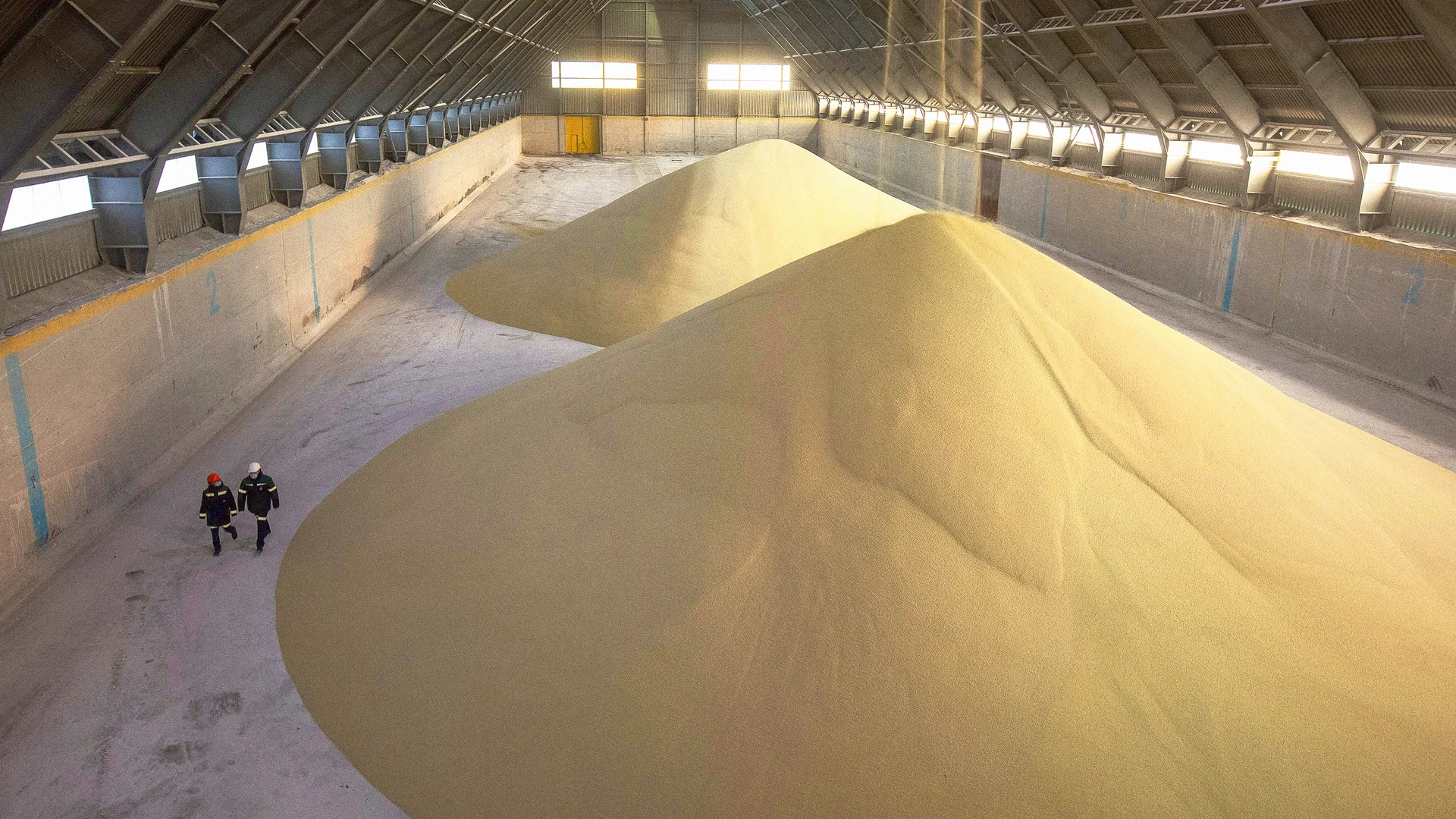 Lo que oculta la fortaleza agrícola latinoamericana